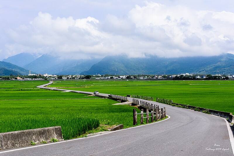 池上（备选：花东纵谷）：池上的稻田